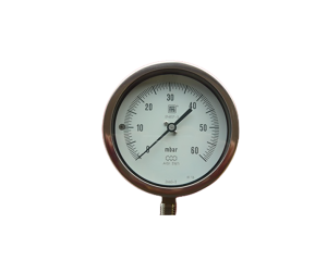 100mm All Stainless Bottom Entry Low Pressure Gauges