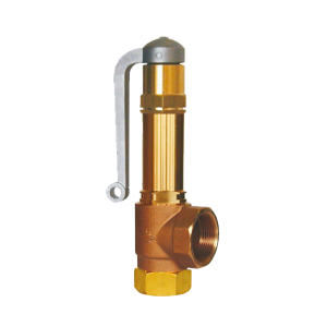 RV 395 Relief Valves For Boilers